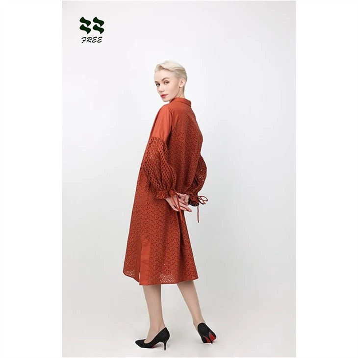 long sleeve embroidered maxi dress